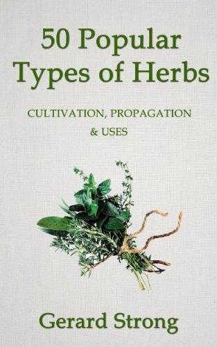 50 Popular Types of Herb