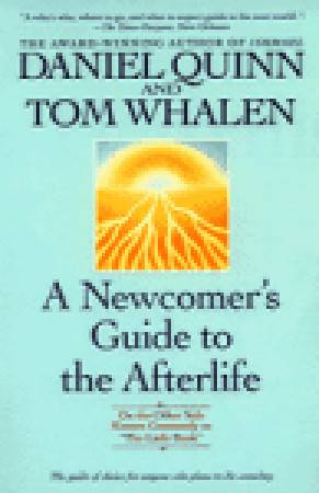 A Newcomer's Guide to the Afterlife: On the Other Side Known Commonly as "The Little Book"