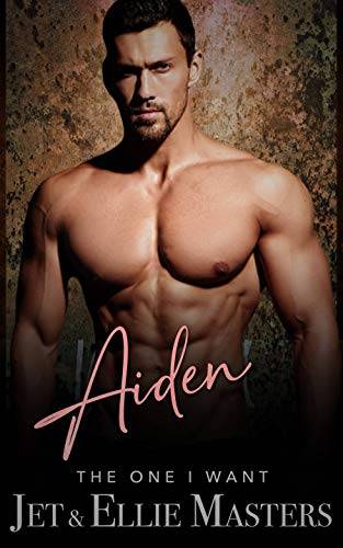 Aiden: A Single Dad, Second Chance Romantic Suspense (The One I Want)