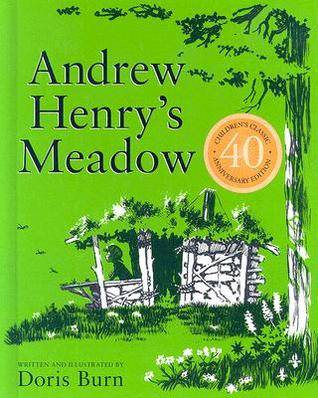 Andrew Henry's Meadow