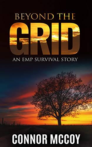 BEYOND THE GRID: An EMP Survival story