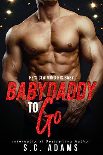Babydaddy To Go: An Enemies to Lovers Secret Baby Romance