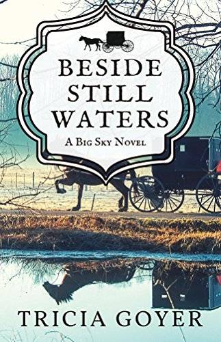 Beside Still Waters: A Big Sky Novel