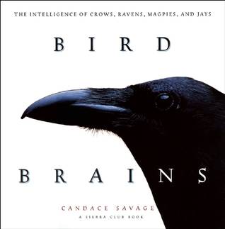 Bird Brains: The Intelligence of Crows, Ravens, Magpies, and Jays