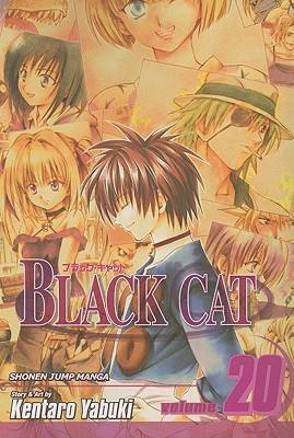 Black Cat: A Carefree Tomorrow, Vol. 20