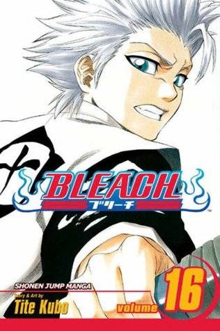 Bleach Volume 16: Night of Wijnruit