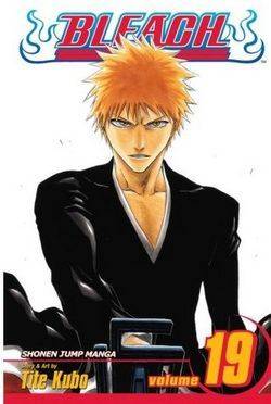 Bleach Volume 19: The Black Moon Rising