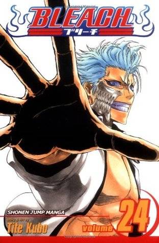 Bleach Volume 24: Immanent God Blues