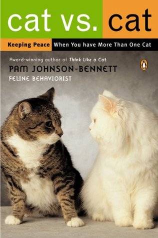 Cat vs. Cat: Keeping Peace When You Have More Than One Cat