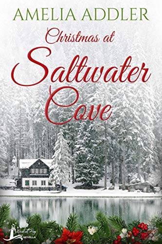 Christmas at Saltwater Cove: a Westcott Bay novella