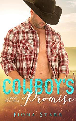 Cowboy's Promise (A Big Sky Short Story)