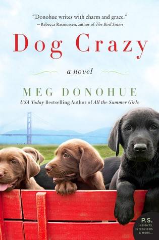 Dog Crazy: A Novel of Love Lost and Found