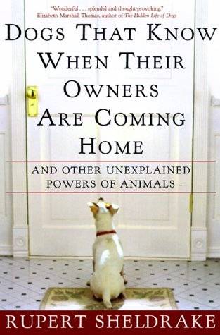 Dogs That Know When Their Owners Are Coming Home & Other Unexplained Powers of Animals