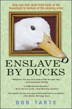 Enslaved by Ducks