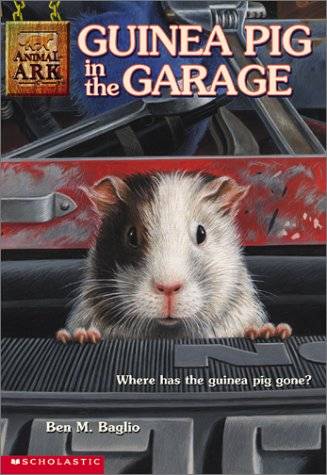 Guinea Pig in the Garage