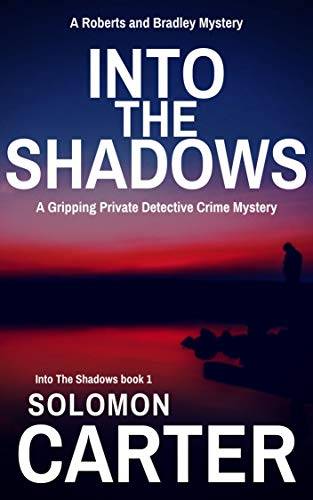 Into The Shadows: A Gripping Private Detective Mystery