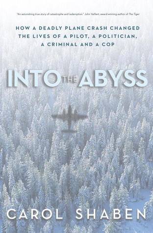 Into the Abyss: How a Deadly Plane Crash Changed the Lives of a Pilot, a Politician, a Criminal and a Cop