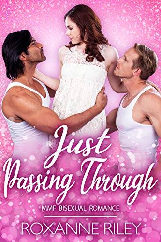 Just Passing Through: MMF Bisexual Romance