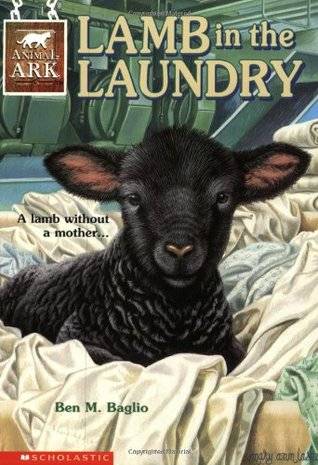 Lamb in the Laundry