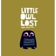 Little Owl Lost