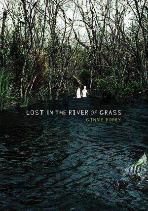 Lost in the River of Grass