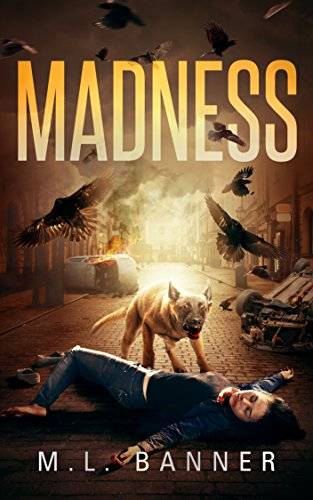 MADNESS: An Apocalyptic-Horror Thriller