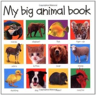 My Big Animal Book