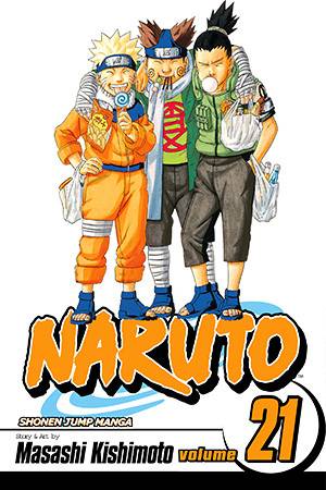 Naruto, Vol. 21: Pursuit