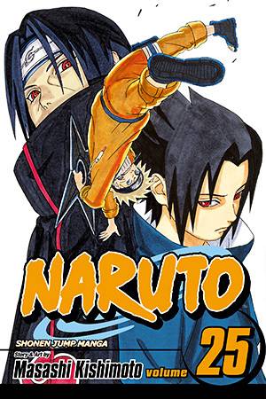 Naruto, Vol. 25: Brothers