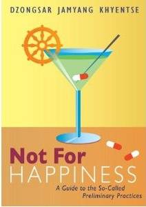 Not For Happiness: A Guide to the So-Called Preliminary Practices