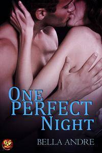 One Perfect Night