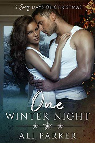 One Winter Night: A Sexy Bad Boy Holiday Novel