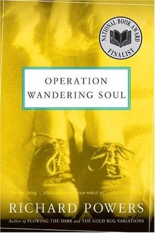 Operation Wandering Soul