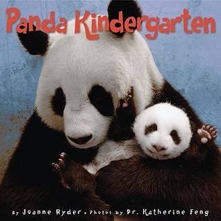 Panda Kindergarten