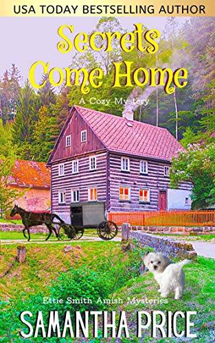 Secrets Come Home: Amish Cozy Mystery