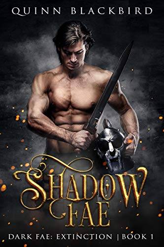 Shadow Fae: A Dark Paranormal Romance, Enemies to Lovers