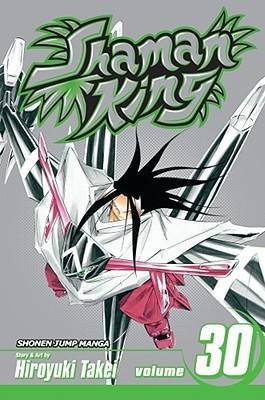 Shaman King, Vol. 30: Extraordinary Days