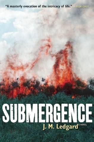 Submergence