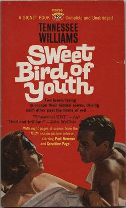 Sweet Bird of Youth