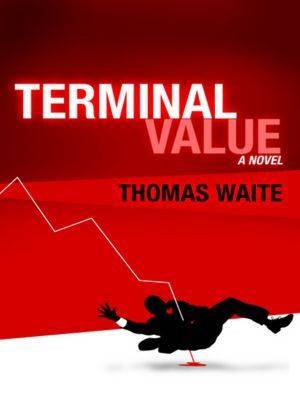 Terminal Value