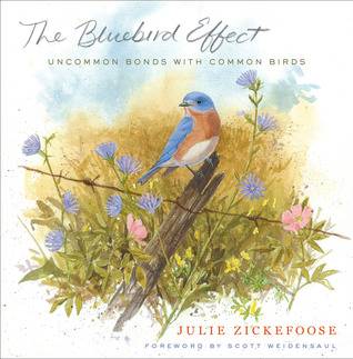 The Bluebird Effect: Uncommon Bonds with Common Birds