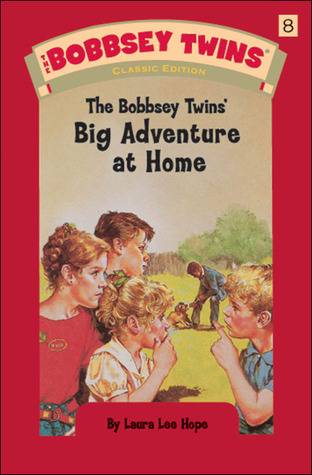 The Bobbsey Twins' Big Adventure at Home