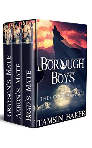 The Borough Boys box-set: The complete collection