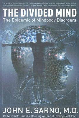 The Divided Mind: The Epidemic of Mindbody Disorders