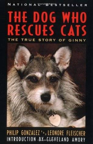 The Dog Who Rescues Cats: True Story of Ginny