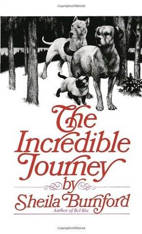 The Incredible Journey