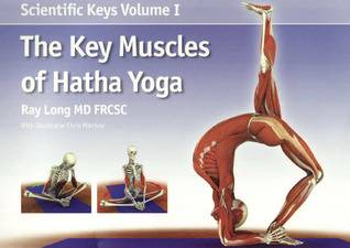 The Key Muscles of Hatha Yoga