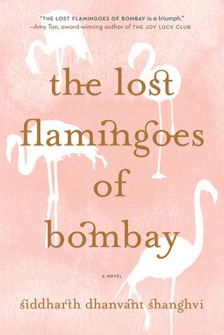 The Lost Flamingoes of Bombay