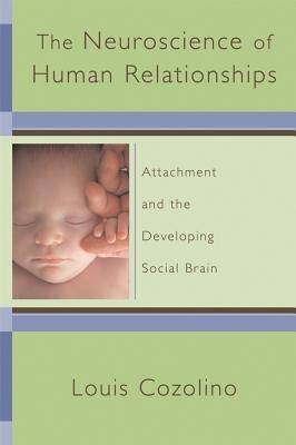 The Neuroscience of Human Relationships: Attachment And the Developing Social Brain