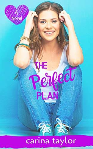 The Perfect Plan: A novel